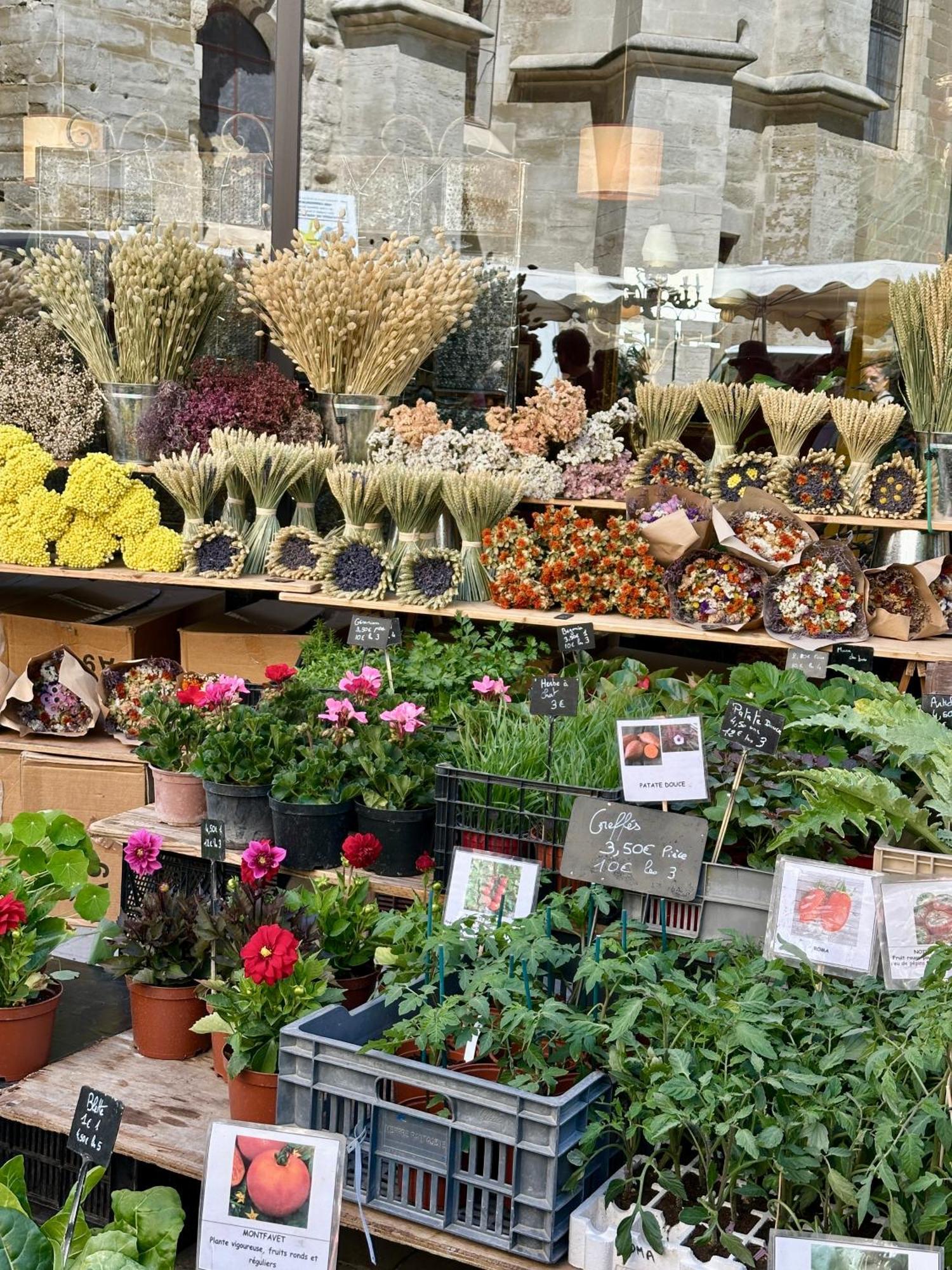 L Atelier De La Sorgue Lejlighed LʼIsle-sur-la-Sorgue Eksteriør billede